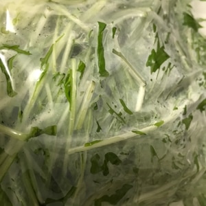 長持ち！水菜の冷蔵、冷凍保存方法